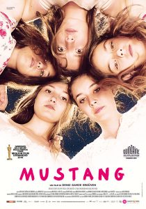 Mustang cover