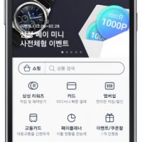 Samsung Pay Mini screen 2