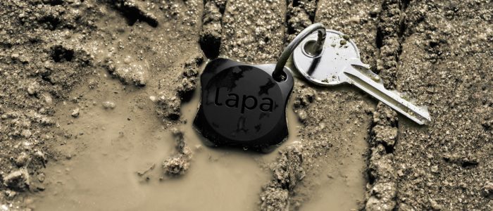 Lapa