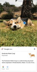 Google Lens