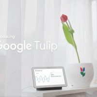 Google pesce d'aprile